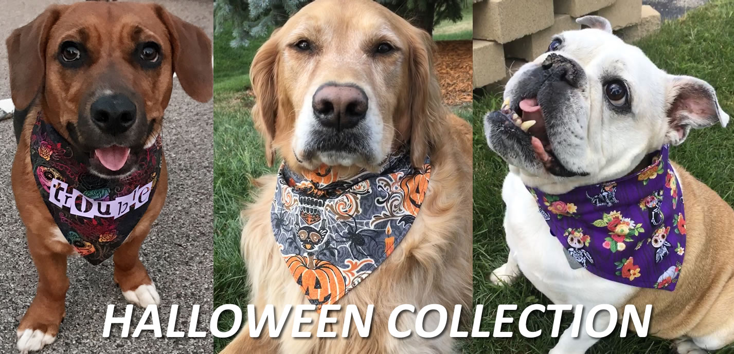 Halloween Dog Bandana Collection Cover Banner